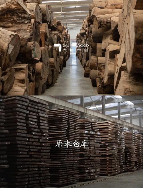 千年桧木的文化密码与生命启示