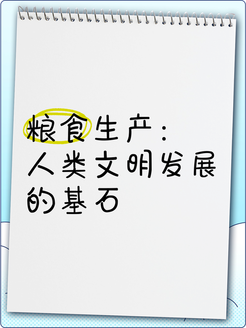 粮食与黄金，人类文明的基石与镜像