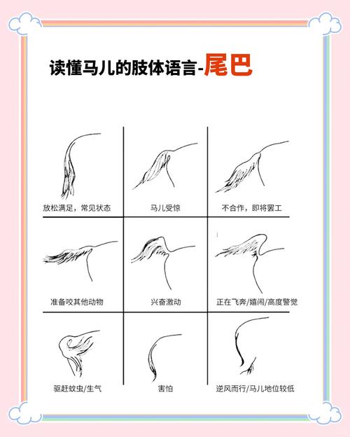 割错了马尾巴，教育异化现象的诊断与重构