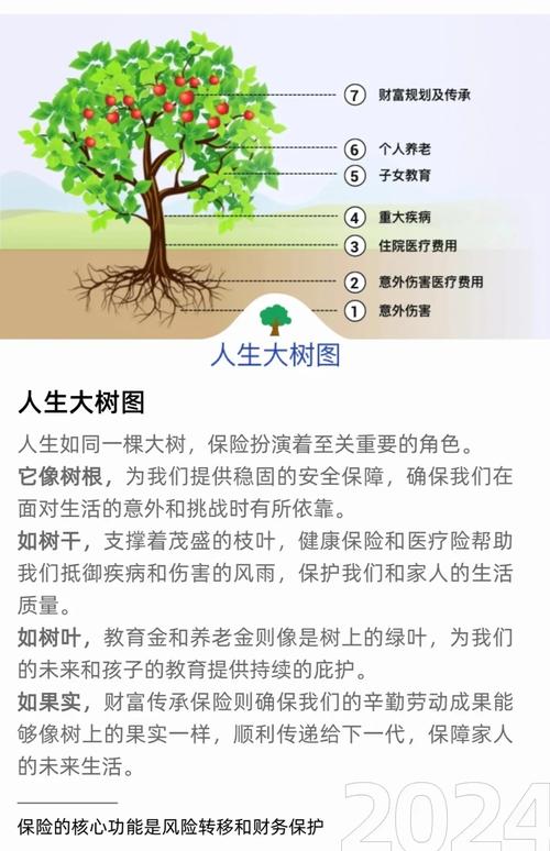 双生树，两兄弟成长差异中的教育启示
