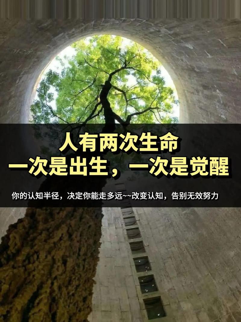 教育生态重构中的三个大力士，认知觉醒·实践赋能·人格滋养的深层对话