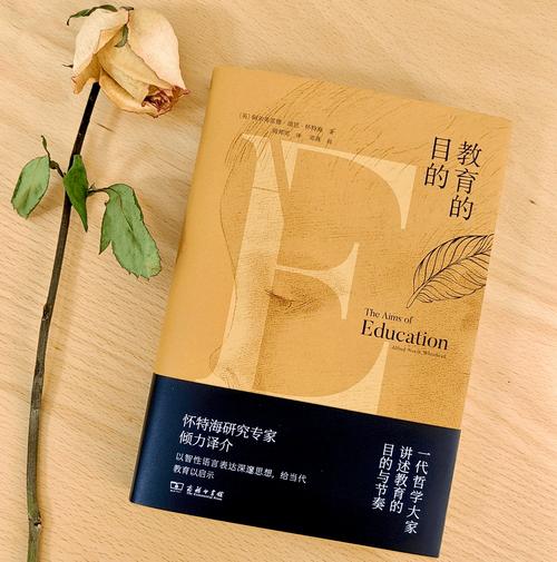 从太平妈妈看当代家庭教育的突围与新生—徐玲作品中的教育哲学启示