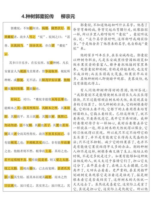 绿树成荫处 生命拔节时—解析吉葡乐绿树绿树中的自然教育与生命哲学