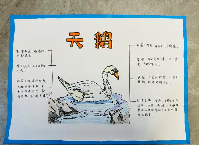 自然教育中的生命启迪—解读高巧林美丽的天鹅湖的生态美学与育人价值