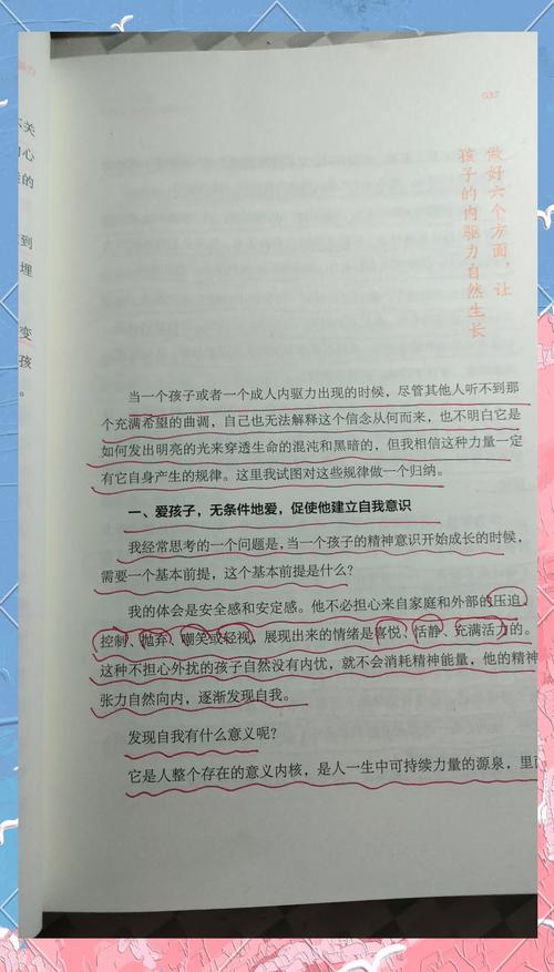 破解作业困局，三阶沟通法与五项行动指南唤醒孩子学习内驱力
