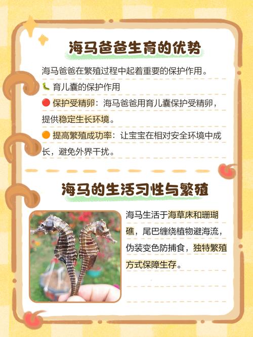 海马爸爸，重新定义父亲角色的家庭教育革命