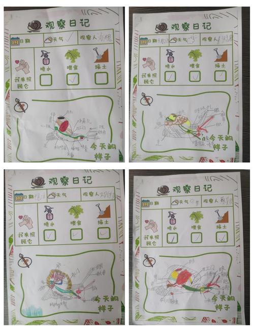 一年级孩子写作业拖拉，破解小蜗牛的成长密码