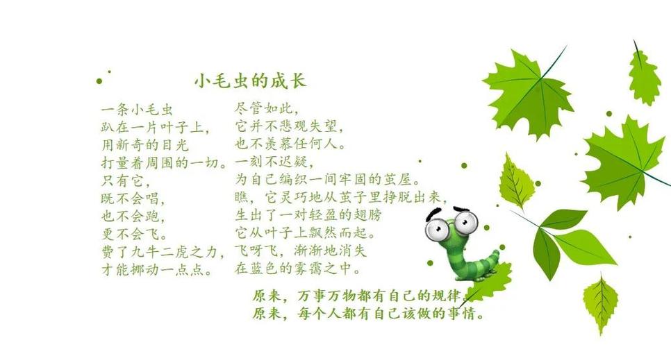 在自然教育中寻找生命成长的真谛—从毛毛和长鼻子树说起