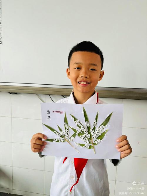 自然启迪心灵，小树叶贺卡中的生命教育实践