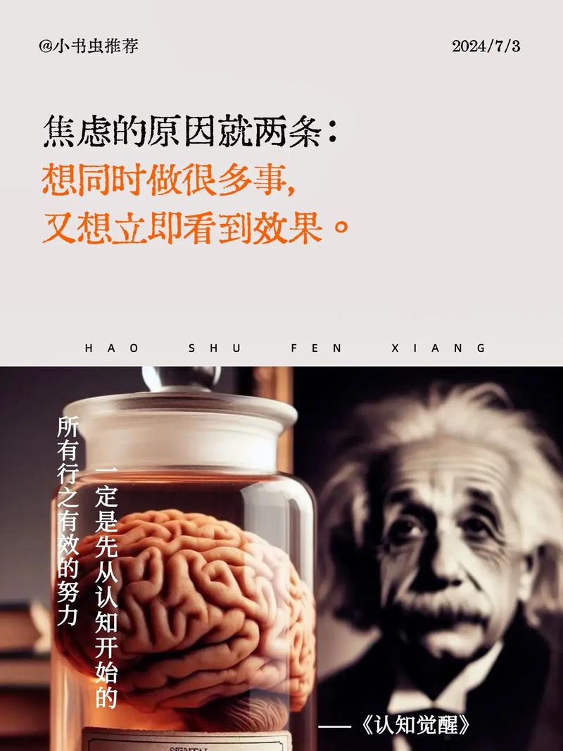 逃离与回归，从大熊逃呀逃看当代教育的生命觉醒之路