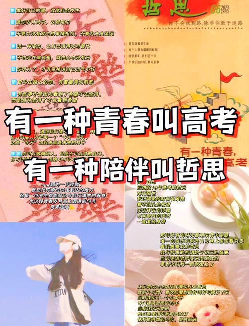 化解青春期的荆棘，高三学生人际矛盾处理的智慧与艺术