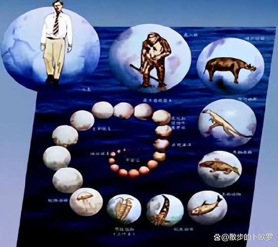 大拇指，人类文明的进化密码与教育变革的启示