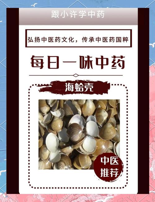 从无从下口到津津有味—解密蛤蜊食用的文化密码与生活智慧