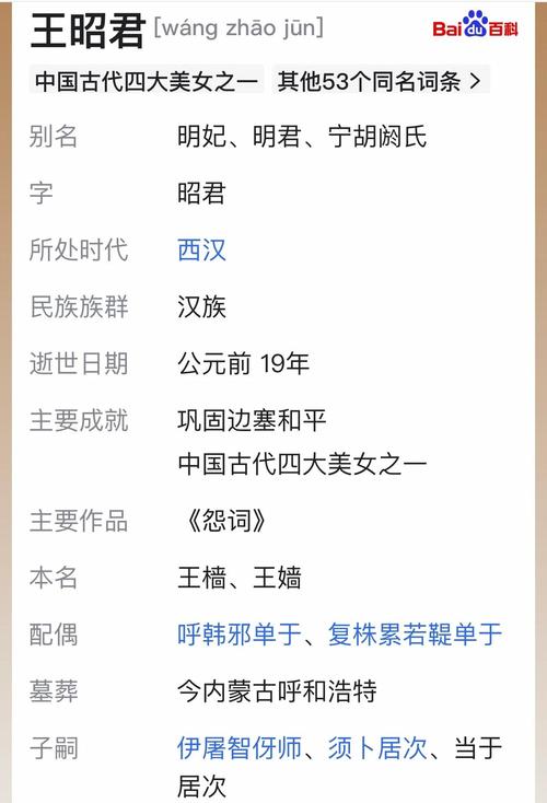 重探昭君出塞的历史镜像，从后宫制度到边疆战略的多维解读