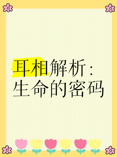 耳垂间的千年密码，解码人类文明中的耳饰传说与教育启示