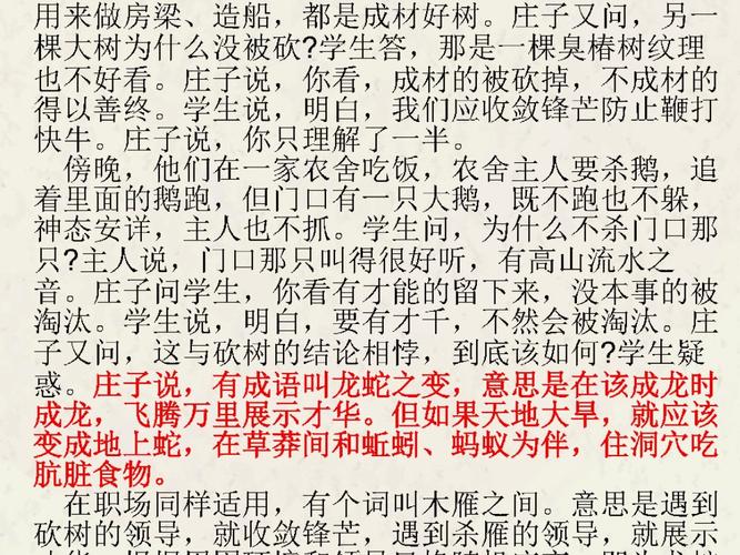 落雁意象中的教育启示，探寻生命拔节的自然法则