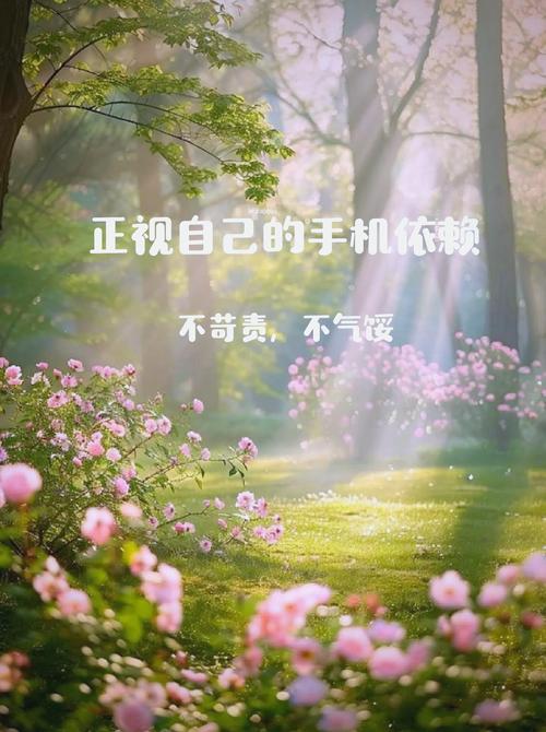 破解手机依赖困局，教育专家支招青少年健康用手机五步法