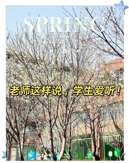 当孩子不愿走进校门，教育专家教你重塑亲子心灵桥梁的沟通艺术