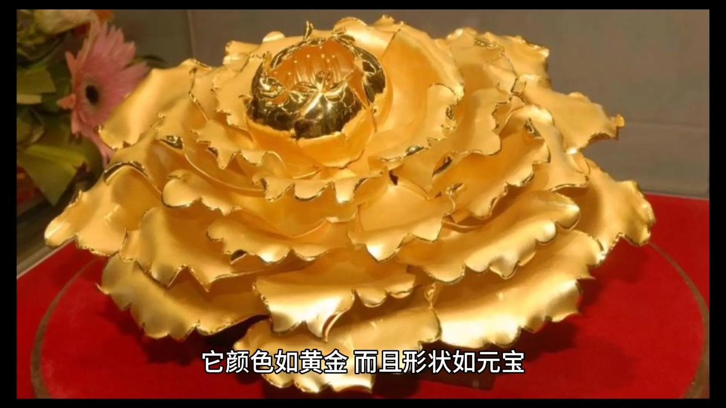金黄牡丹的传说，民间叙事中的生态智慧与生命教育