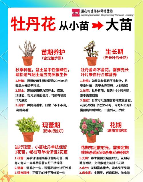 汉牡丹，千年芳华中的文化密码与教育启示