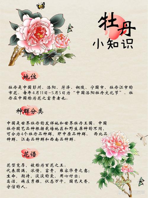 牡丹文化，千年国色中的精神传承与现代启示