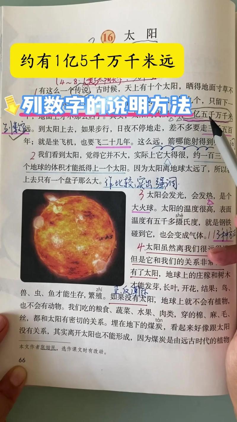 六月六太阳节，传统文化中的自然智慧与教育启示