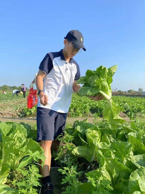 八卦田，穿越千年的劳动教育启示录