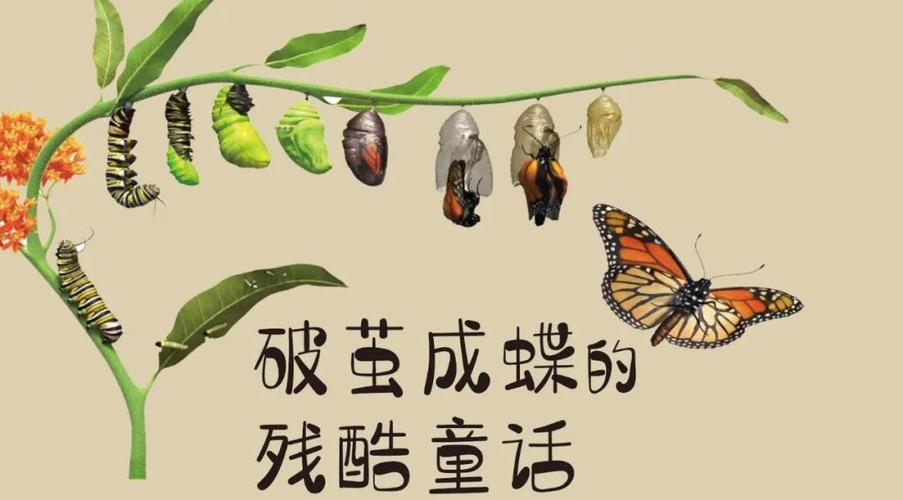 化茧成蝶，破解考试焦虑的成长密码