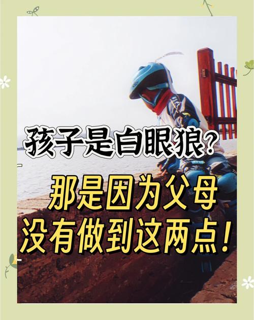 当孩子成了白眼狼，当代家庭教育的困境与突围之路