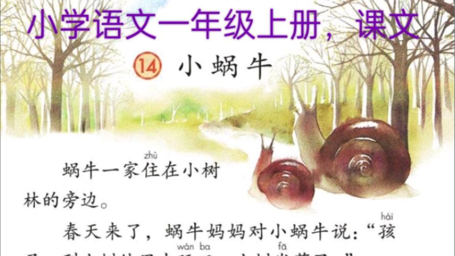 一年级家长必读，守护小蜗牛的生命节奏