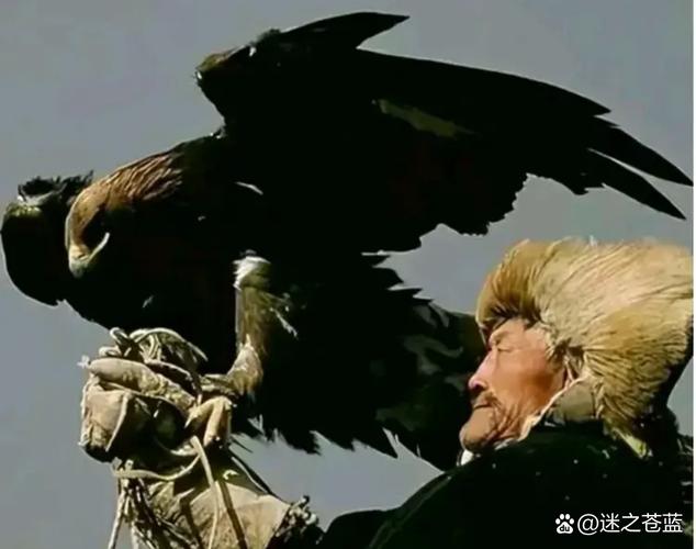神鹰之子，蒙古族鹰图腾崇拜的教育人类学探析