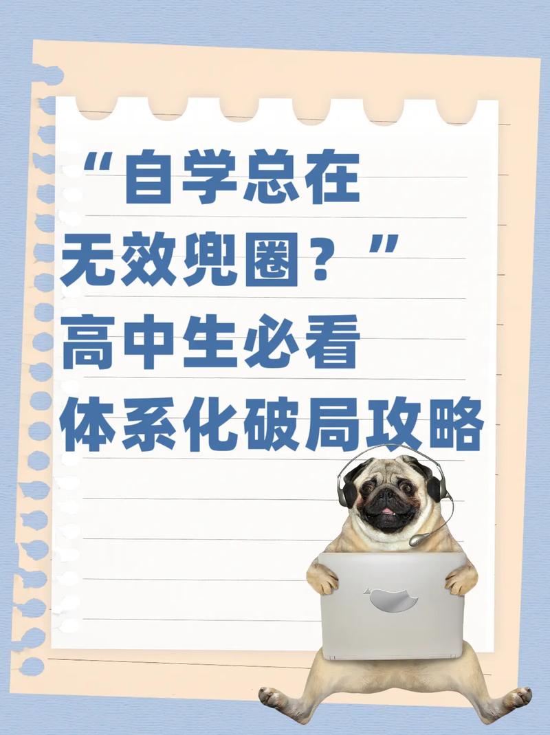 高中生拒学现象深度解析，教育专家助您破局引导