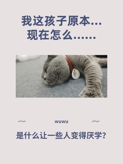 当师生关系亮起红灯，孩子因抵触老师产生厌学情绪的解方