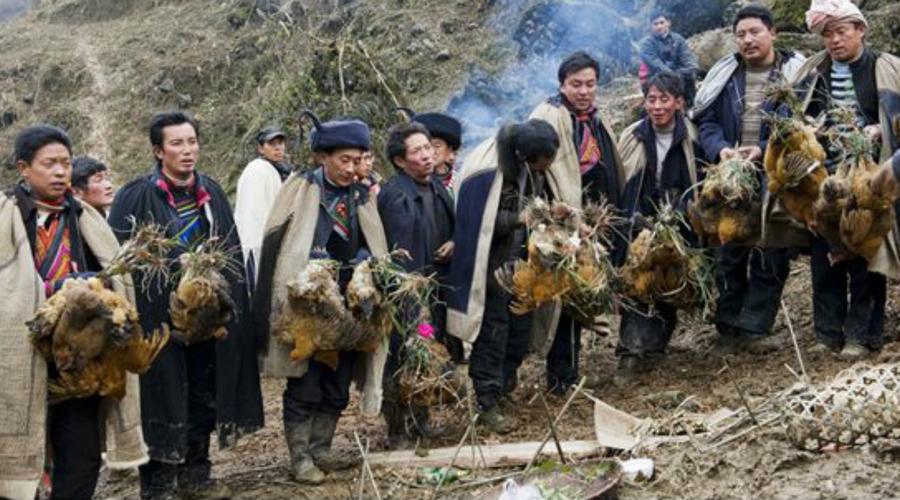 毕摩山回响，彝族故事里的生态智慧与生命教育