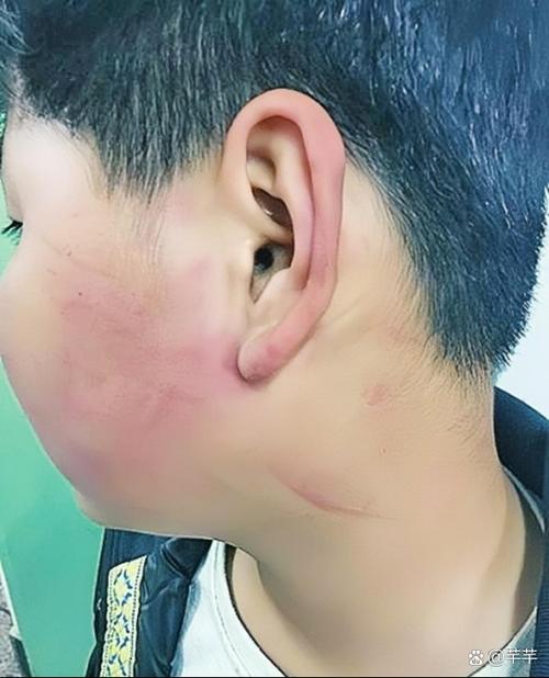 暴力烙印，那些从小被打大的孩子后来怎样了？