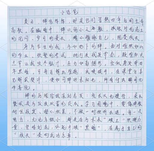 鱼鳞上的月光，苗族杀鱼节传说中的生态智慧与教育启示