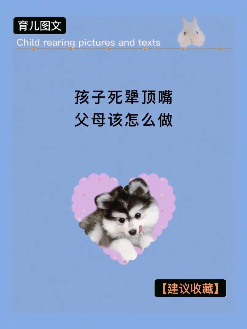 倔强背后的密码，孩子特别犟的心理因素深度解析