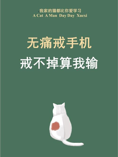 挣脱屏幕束缚，高中生手机沉迷的破茧之道