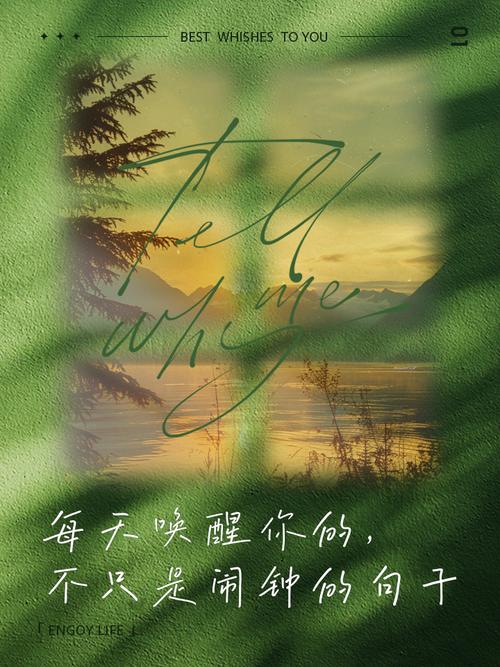 叫醒的不是闹钟，高中生起床困难背后的科学探索与生命唤醒