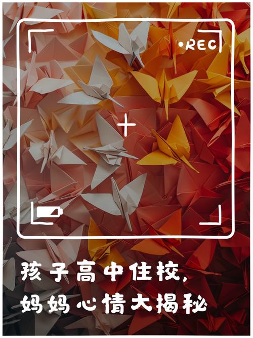 孩子高中住校天天哭？教育专家，这份分离成长指南助孩子破茧成蝶
