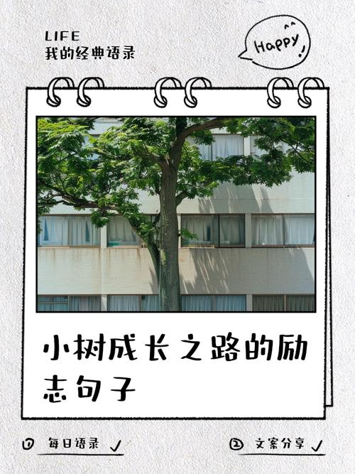 当小树遭遇风雨，家长如何成为孩子应对欺凌的坚实园丁