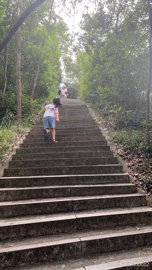 仙人脚，托起山乡学子的石阶