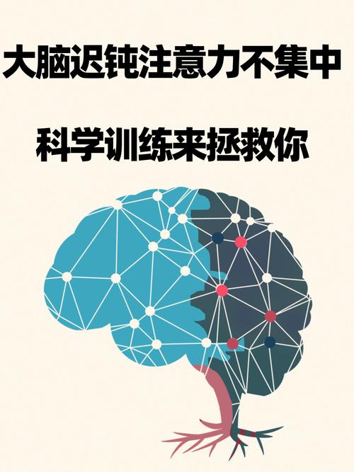 青少年课堂神游之谜，解码青春期大脑注意力流失与实用策略
