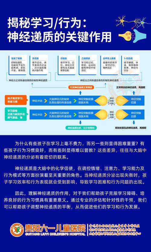 解码男孩专注力，走出误区，重塑科学成长路径