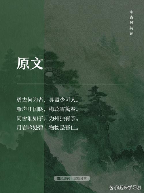 含羞草，三十七位义士的千年守望