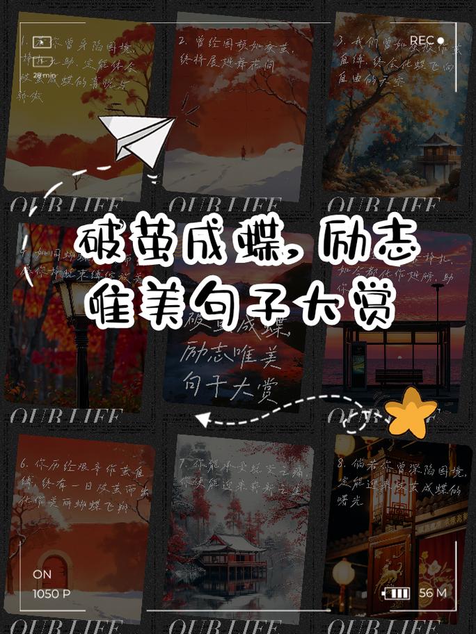 破茧成蝶，15岁叛逆期的科学引导之道