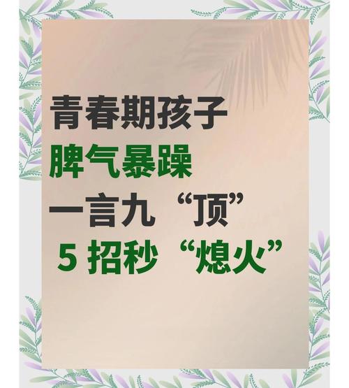 破译青春期的情绪风暴，初中生脾气暴躁的深层原因与智慧应对