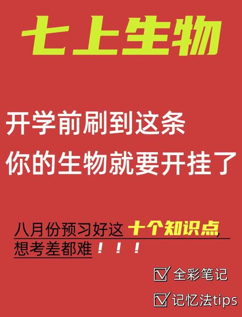 女孩为何搁笔？解码学业困扰背后的七重密码