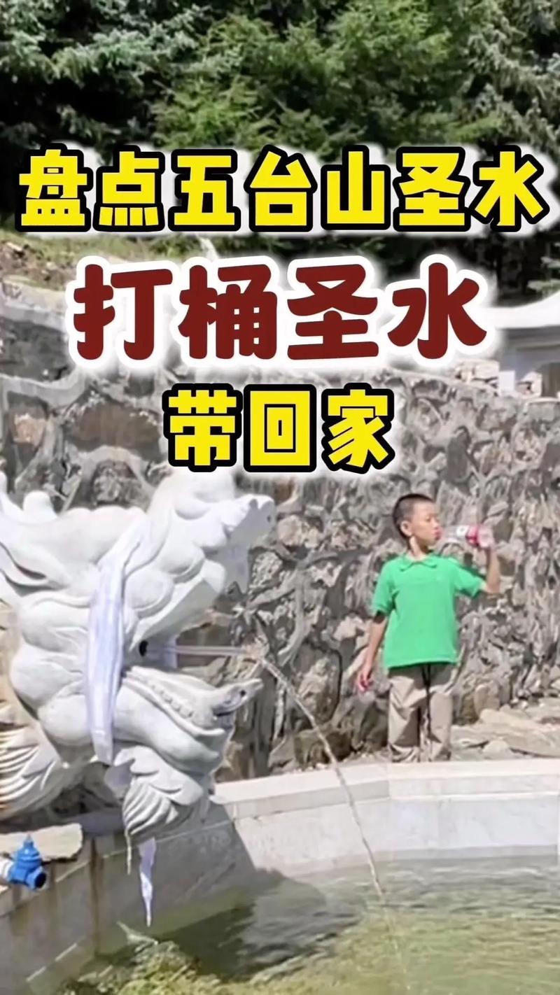 澄澈的寓言，教育视野中的宝瓶圣泉