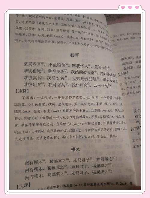 弦歌不辍云龙桥，漾濞彝族民间叙事的教育人类学启示